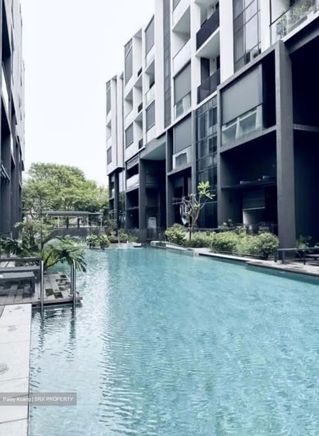 The Essence (D26), Apartment #553894641